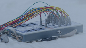 Neurovirtual News eeg-psg